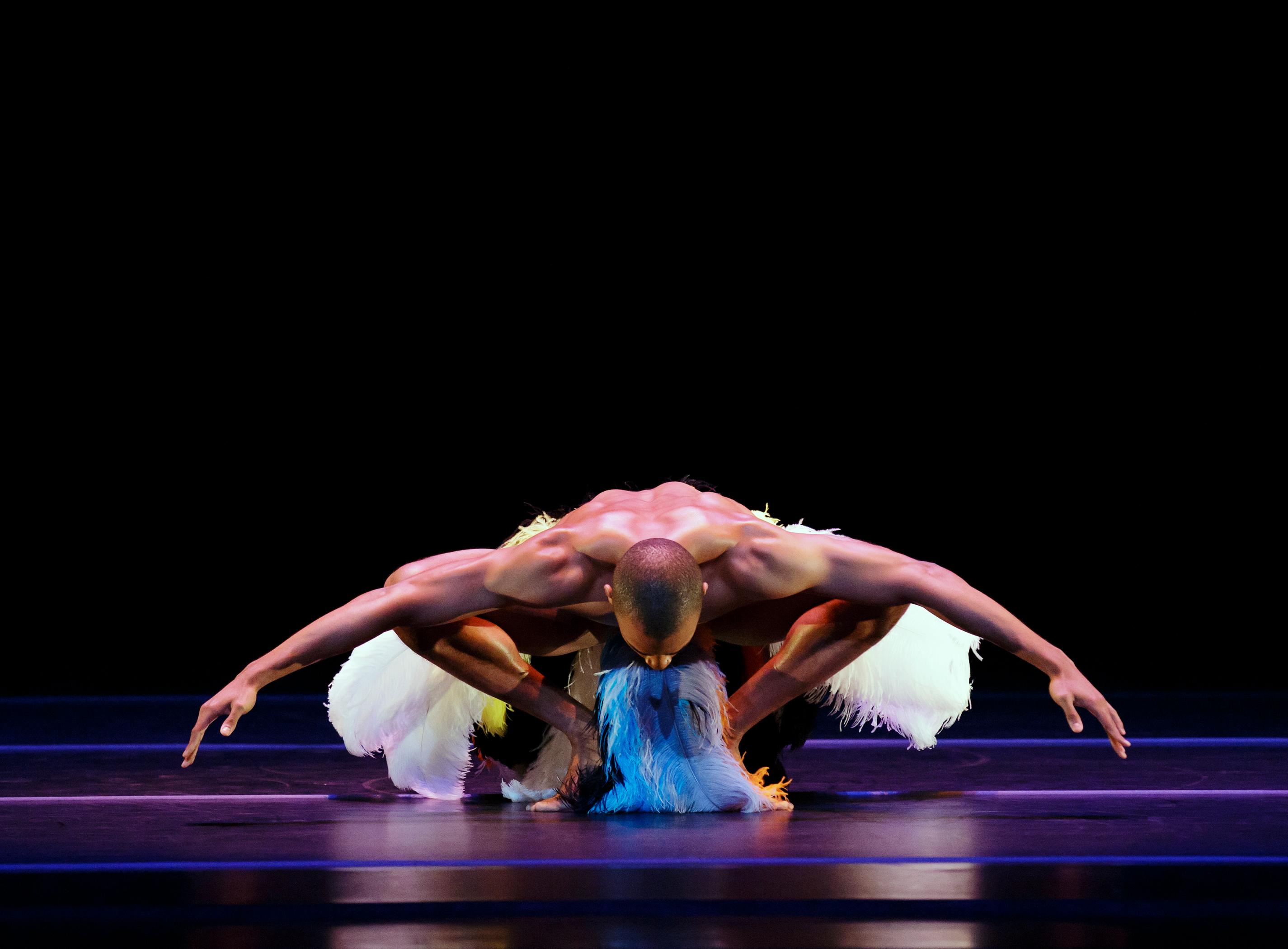 Bald dancer in feather skirt bowing down.