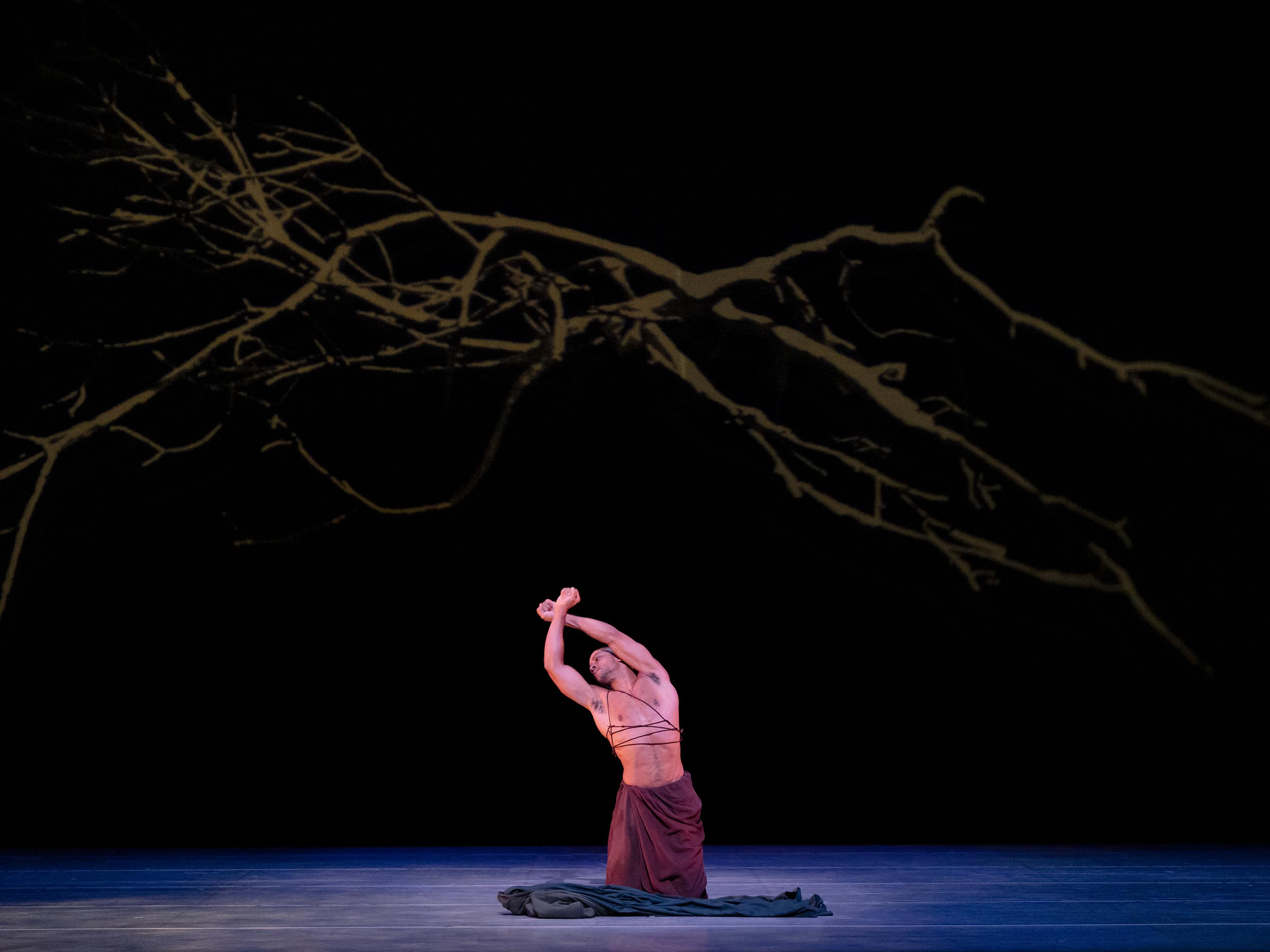 A solo dancer kneeling with arms up and wrists crossed with large branches in the background